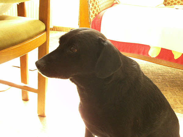 med_Coco - Vorbeugende Therapie zu Hause.jpg (600 x 450)